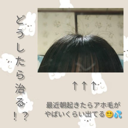 を使ったクチコミ(2枚目)