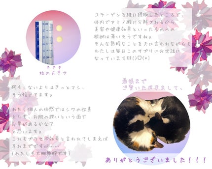コラーゲン/DHC/美容サプリメントを使ったクチコミ(3枚目)