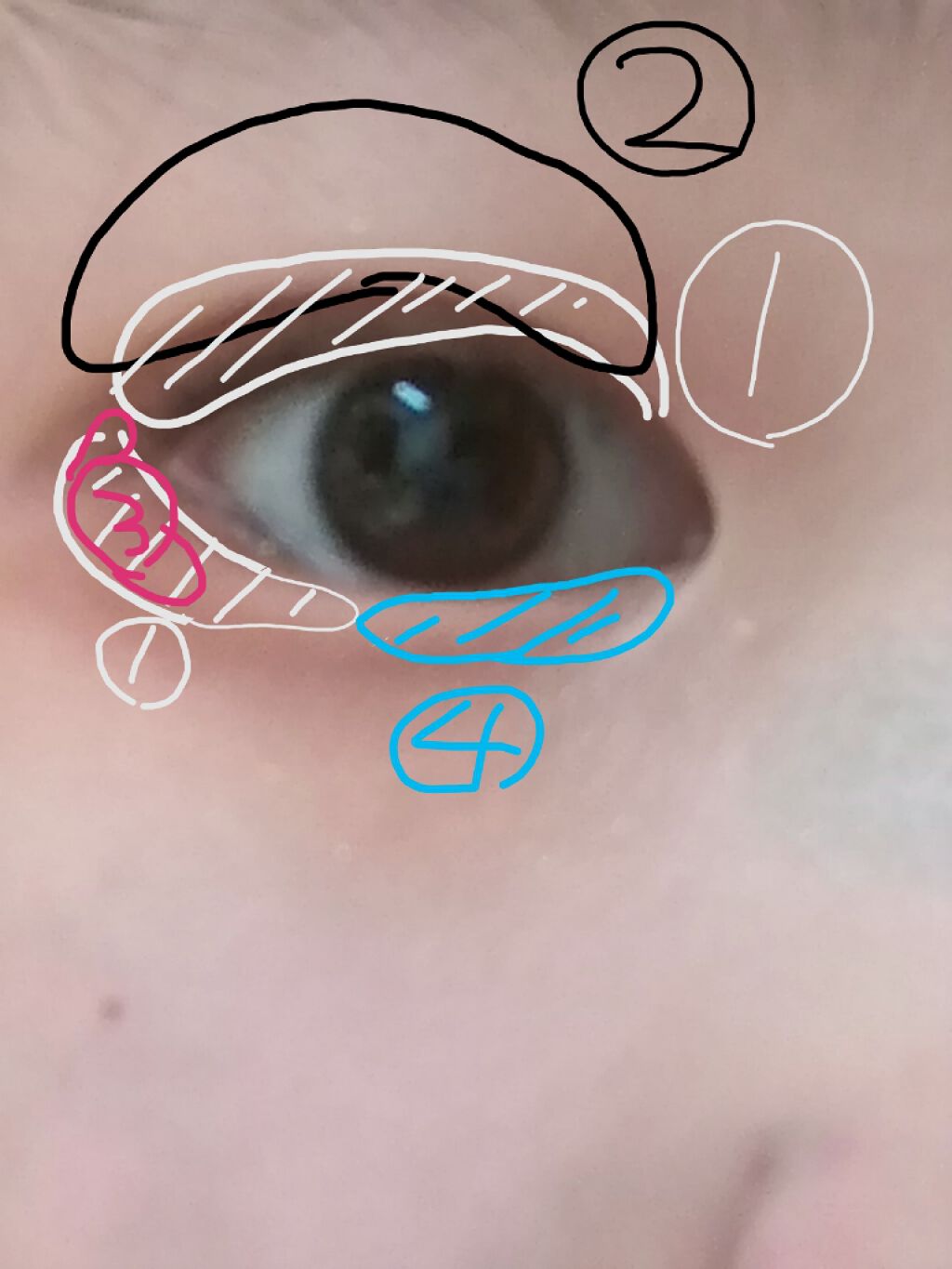 UR GLAM　BLOOMING EYE COLOR PALETTE/U R GLAM/アイシャドウパレットを使ったクチコミ（3枚目）