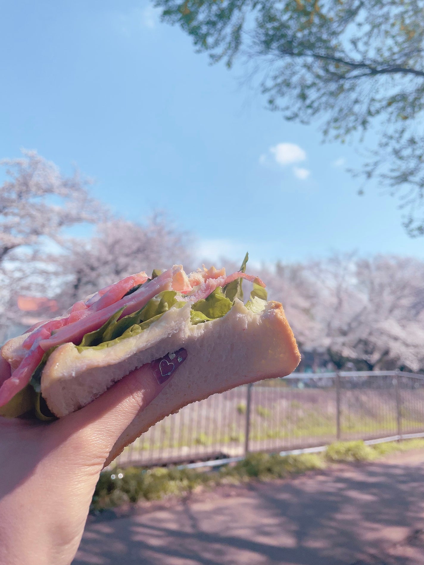 グロウフルールチークス/キャンメイク/パウダーチークを使ったクチコミ(4枚目)