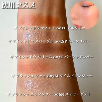 アディクション ザ ブラッシュ マット/ADDICTION/パウダーチークを使ったクチコミ(8枚目)