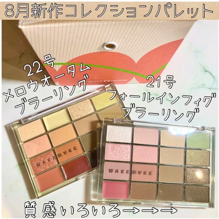ソフトブラーリングアイパレット/wakemake/アイシャドウパレットを使ったクチコミ(1枚目)