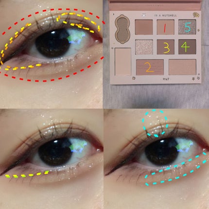 ディズニー10色パレット/JUDYDOLL/アイシャドウパレットを使ったクチコミ(7枚目)