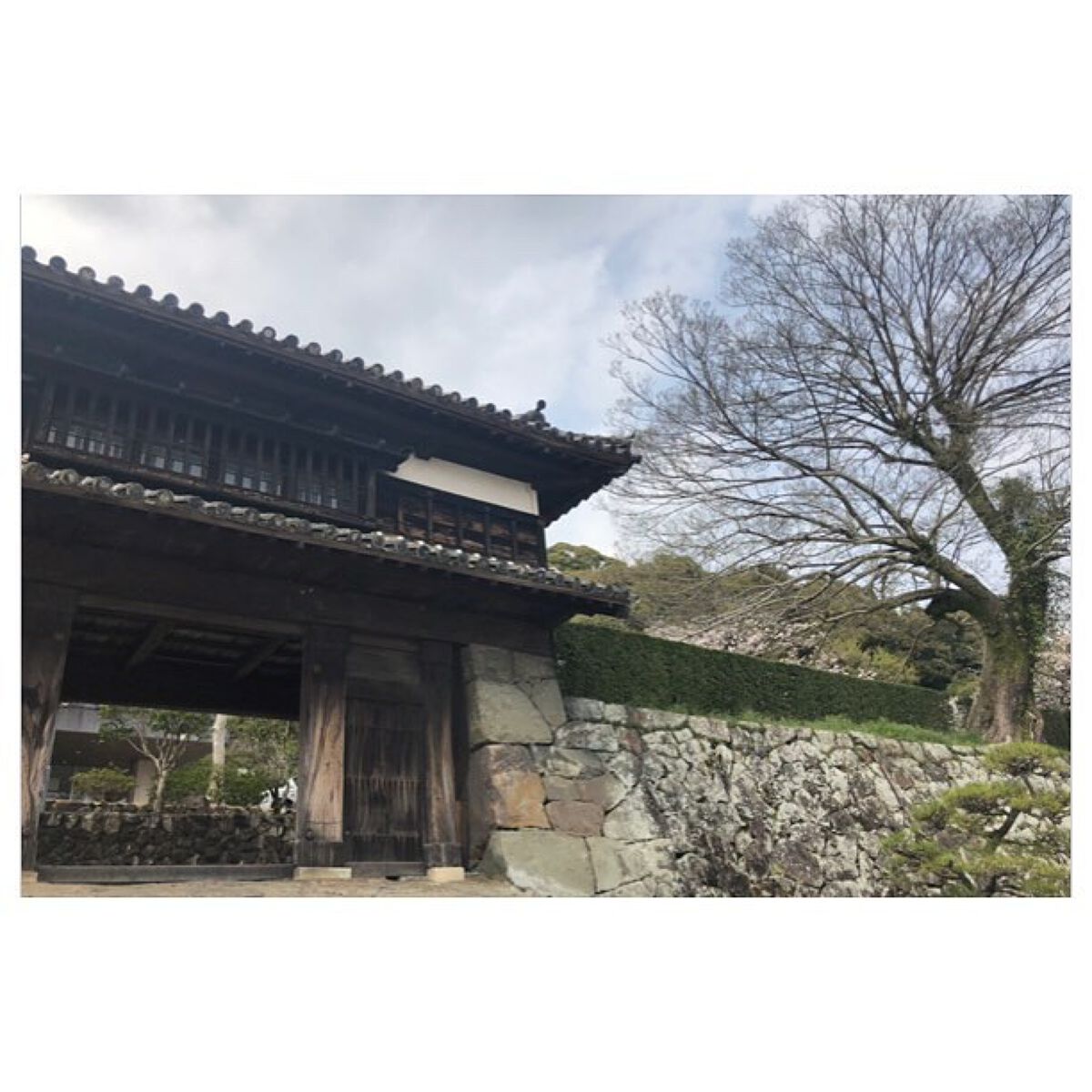 ネイル エナメル/ちふれ/マニキュアを使ったクチコミ(8枚目)