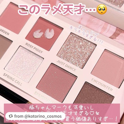 エクスプローラ12色 動物アイシャドウパレット/PERFECT DIARY/アイシャドウパレットを使ったクチコミ(4枚目)