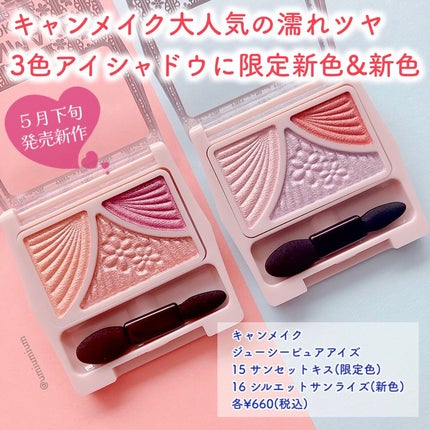 ジューシーピュアアイズ/キャンメイク/アイシャドウパレットを使ったクチコミ(2枚目)