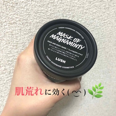 お久しぶりです！！

今回ご紹介するのはこちらです！

LUSH
パワーマスクSP

価格→税抜1350円/125g

フェイス＆ボディマスクです🌿

優しく汚れを吸着して潤い感のある肌に導いてくれます