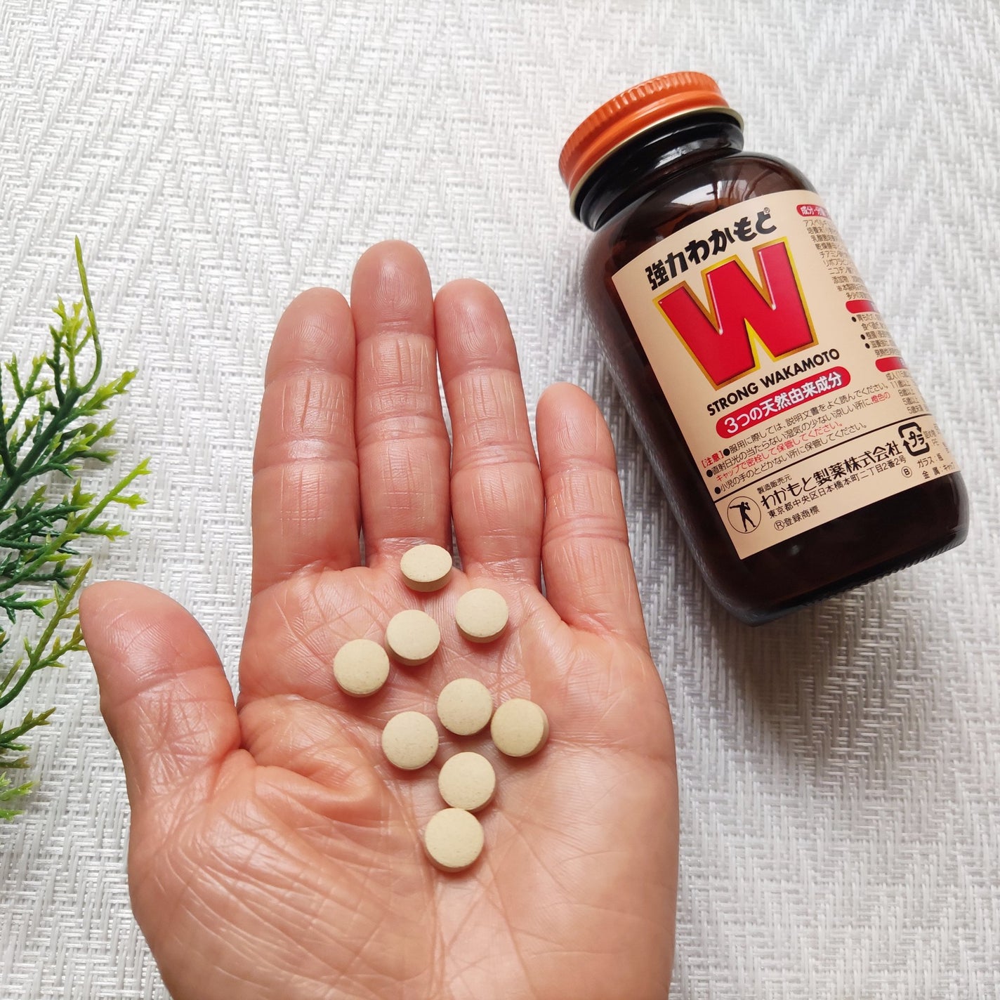 強力わかもと/わかもと製薬/健康サプリメントを使ったクチコミ(3枚目)