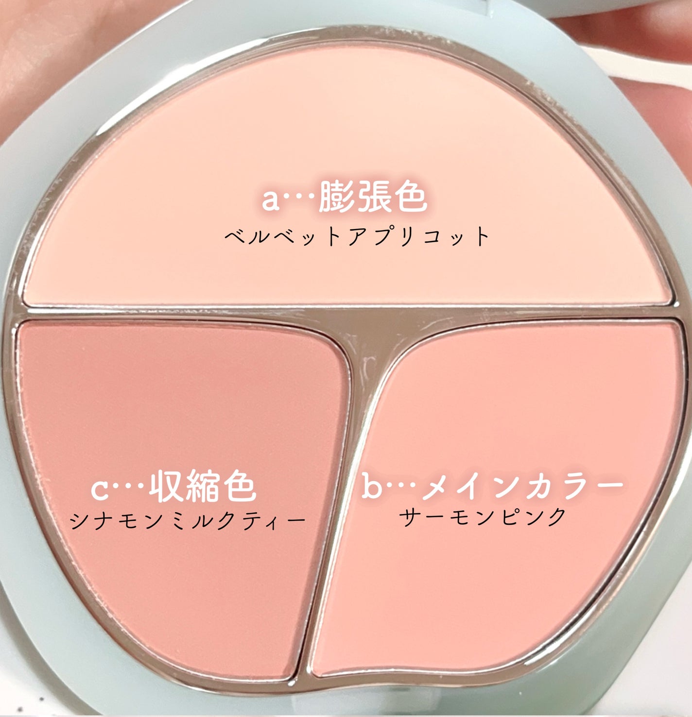 TIMAGE 3色チークパレット/TIMAGE/パウダーチークを使ったクチコミ(3枚目)