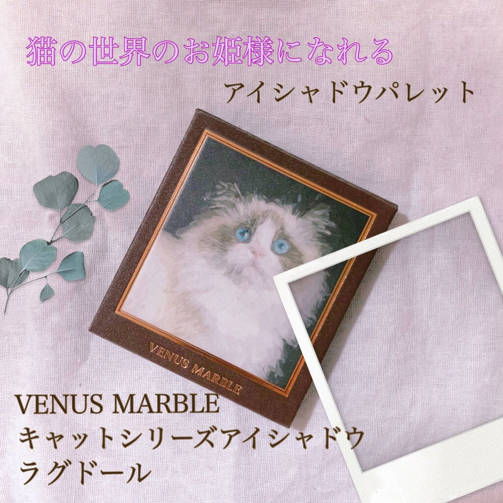 Venus Marble アイシャドウキャットシリーズ/Venus Marble/アイシャドウパレットを使ったクチコミ(1枚目)