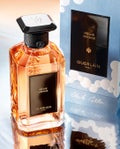 コレクターズエディション(200mL)