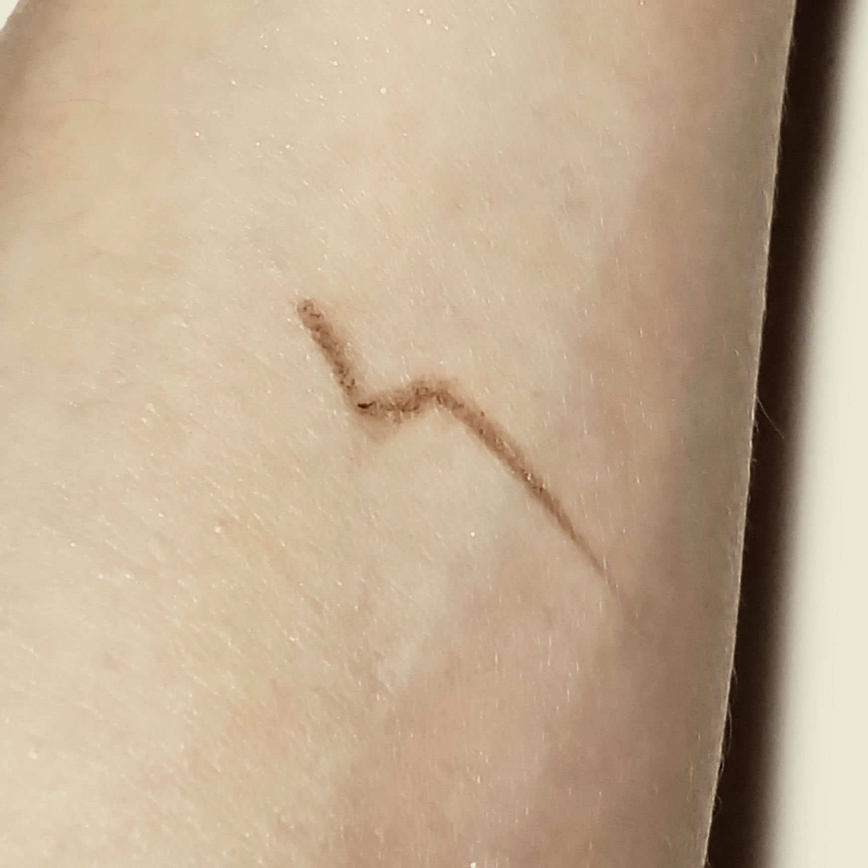 ラスティングデザインアイブロウW (スクエア)/KATE/アイブロウペンシルを使ったクチコミ（3枚目）