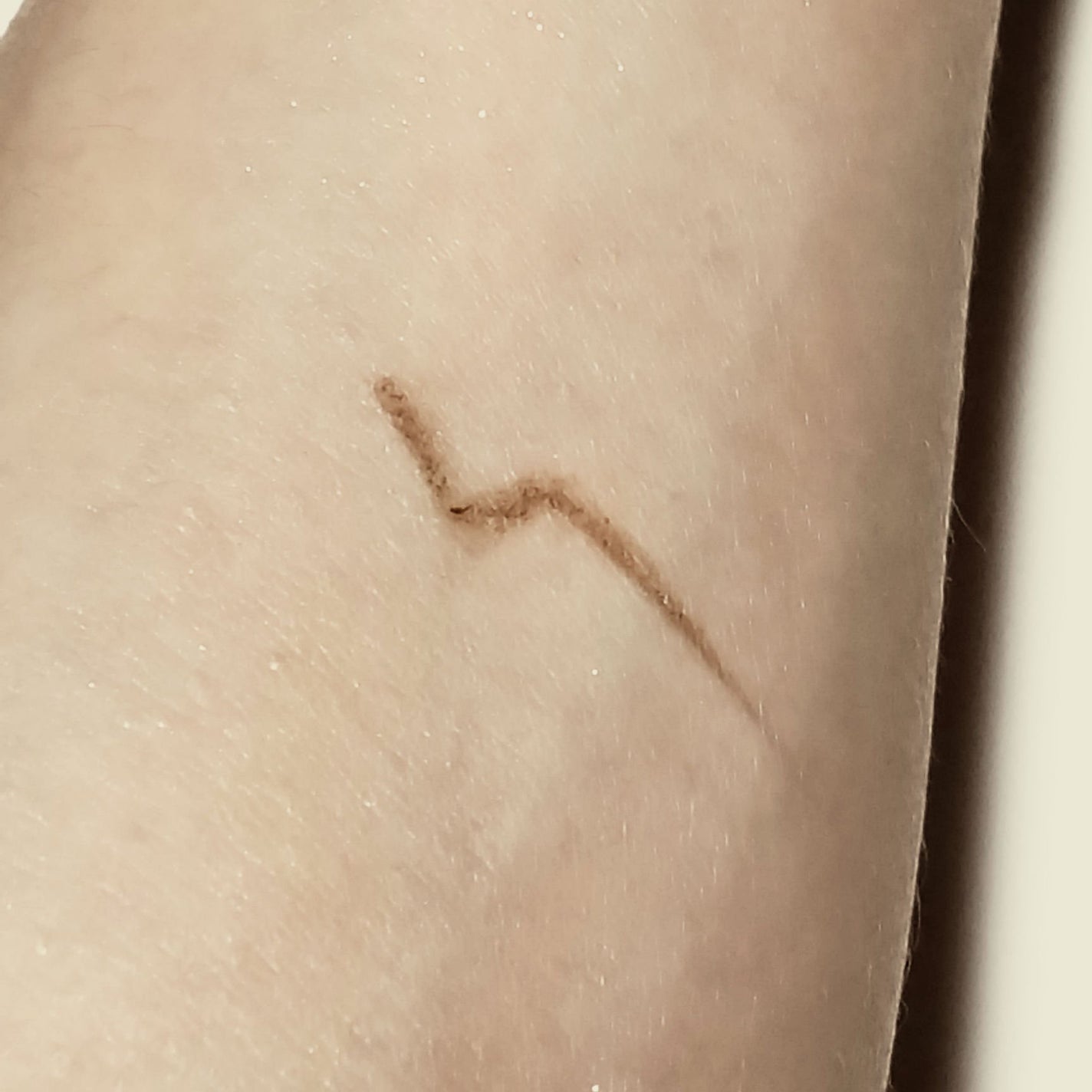 超細芯アイブロウ/CEZANNE/アイブロウペンシルを使ったクチコミ(3枚目)