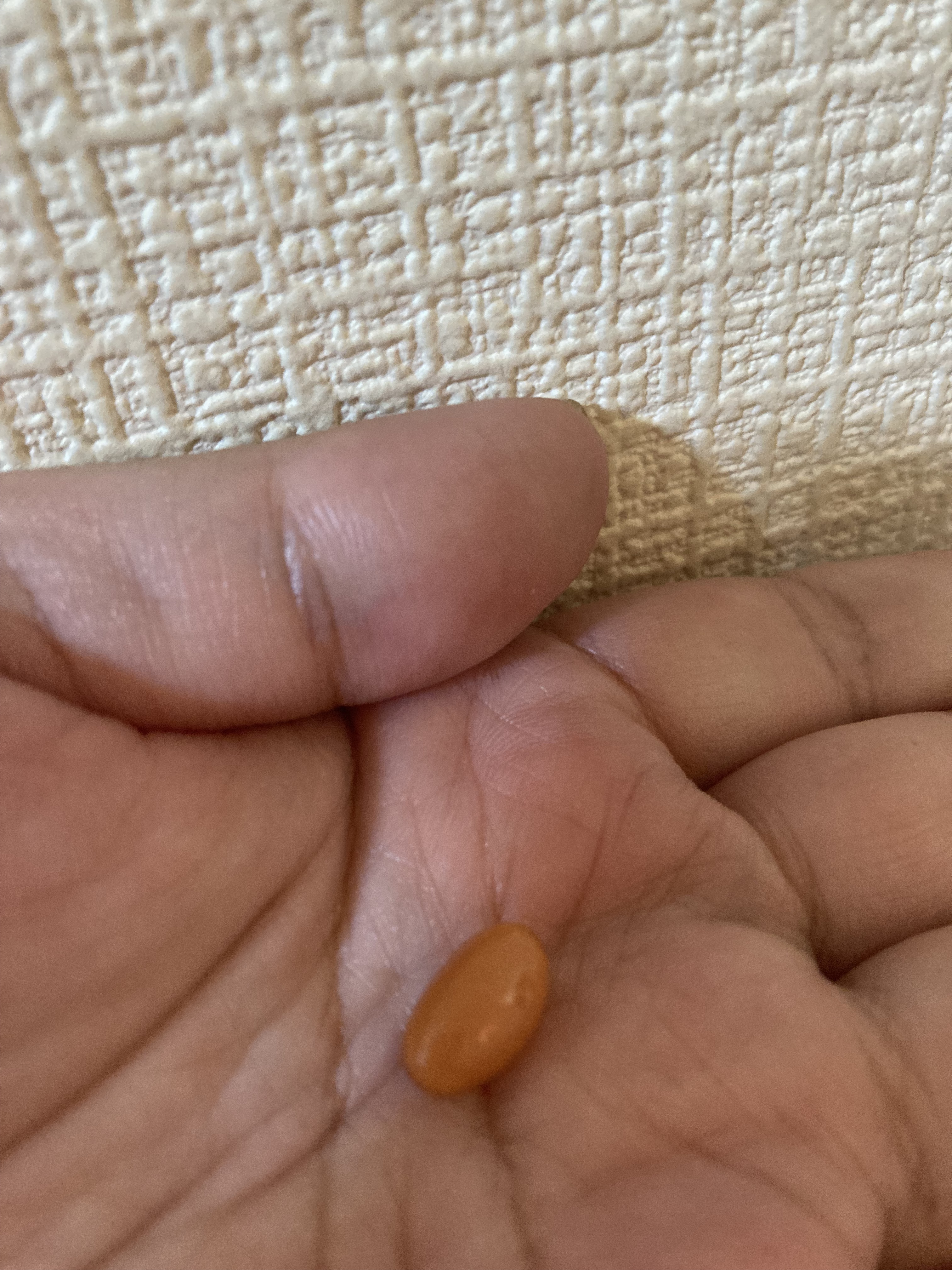 セラミド モイスチュア/DHC/美容サプリメントを使ったクチコミ（3枚目）