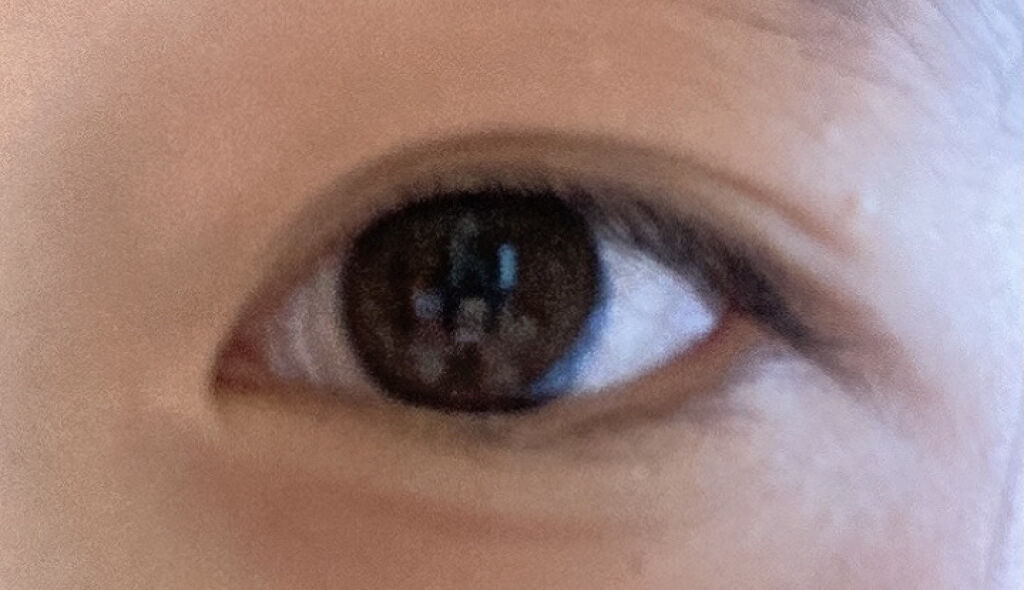 シャドーカスタマイズ/MAJOLICA MAJORCA/単色アイシャドウを使ったクチコミ（3枚目）