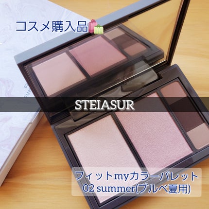 フィット my カラーパレット/STEIASUR(ステイアシュール)/マルチパレットを使ったクチコミ(1枚目)