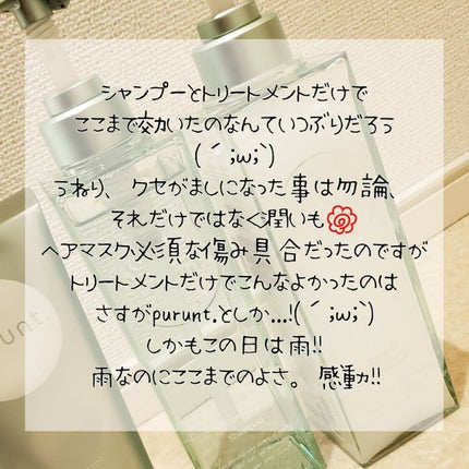 プルント コントロール美容液シャンプー/トリートメント/Purunt./市販シャンプーを使ったクチコミ(9枚目)