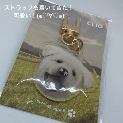 プロ アイ パレット/CLIO/アイシャドウパレットを使ったクチコミ(6枚目)