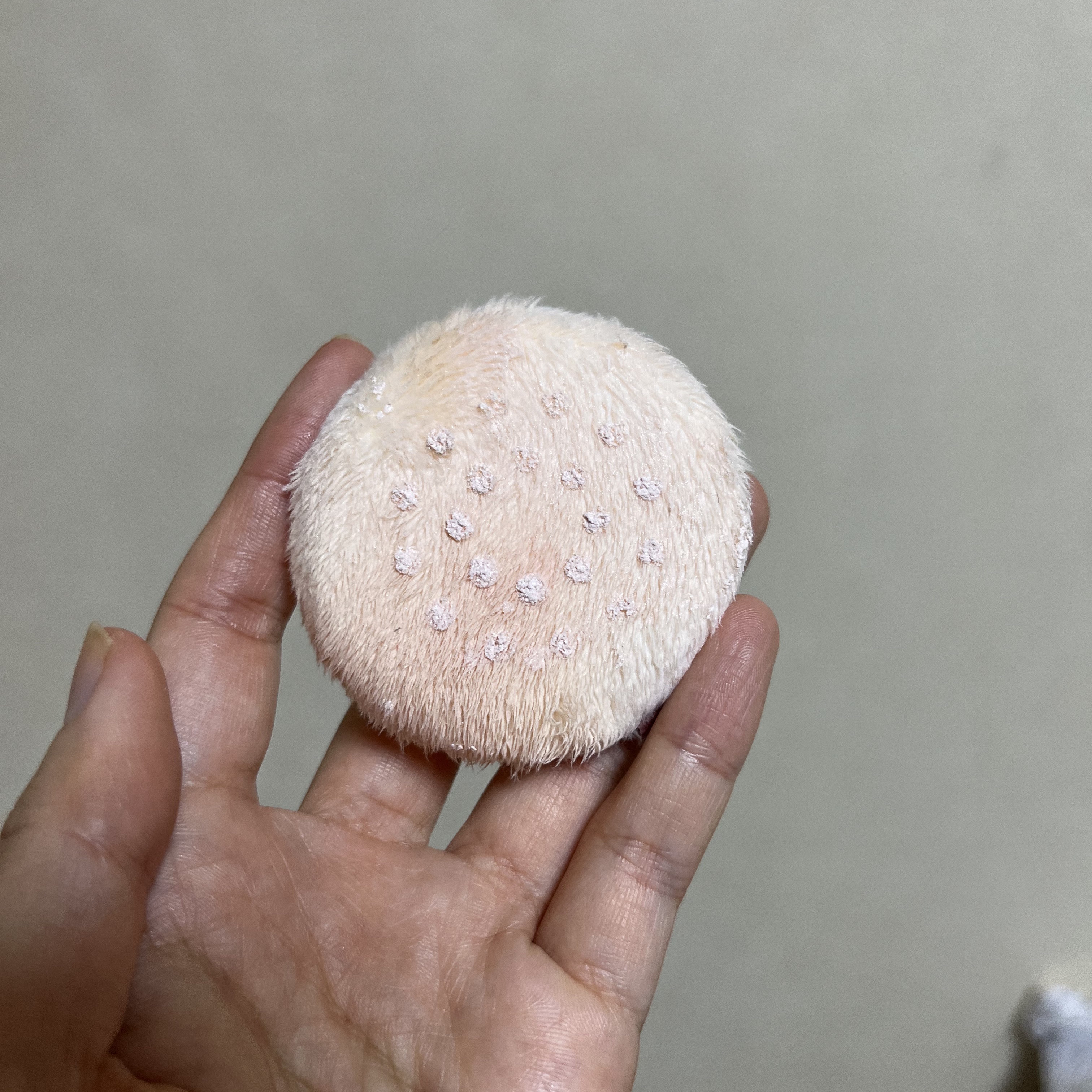 シルキールースモイストパウダー/キャンメイク/ルースパウダーを使ったクチコミ（3枚目）