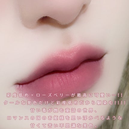 rom&nd ブラーファッジティント/rom&nd/リップティントを使ったクチコミ(4枚目)