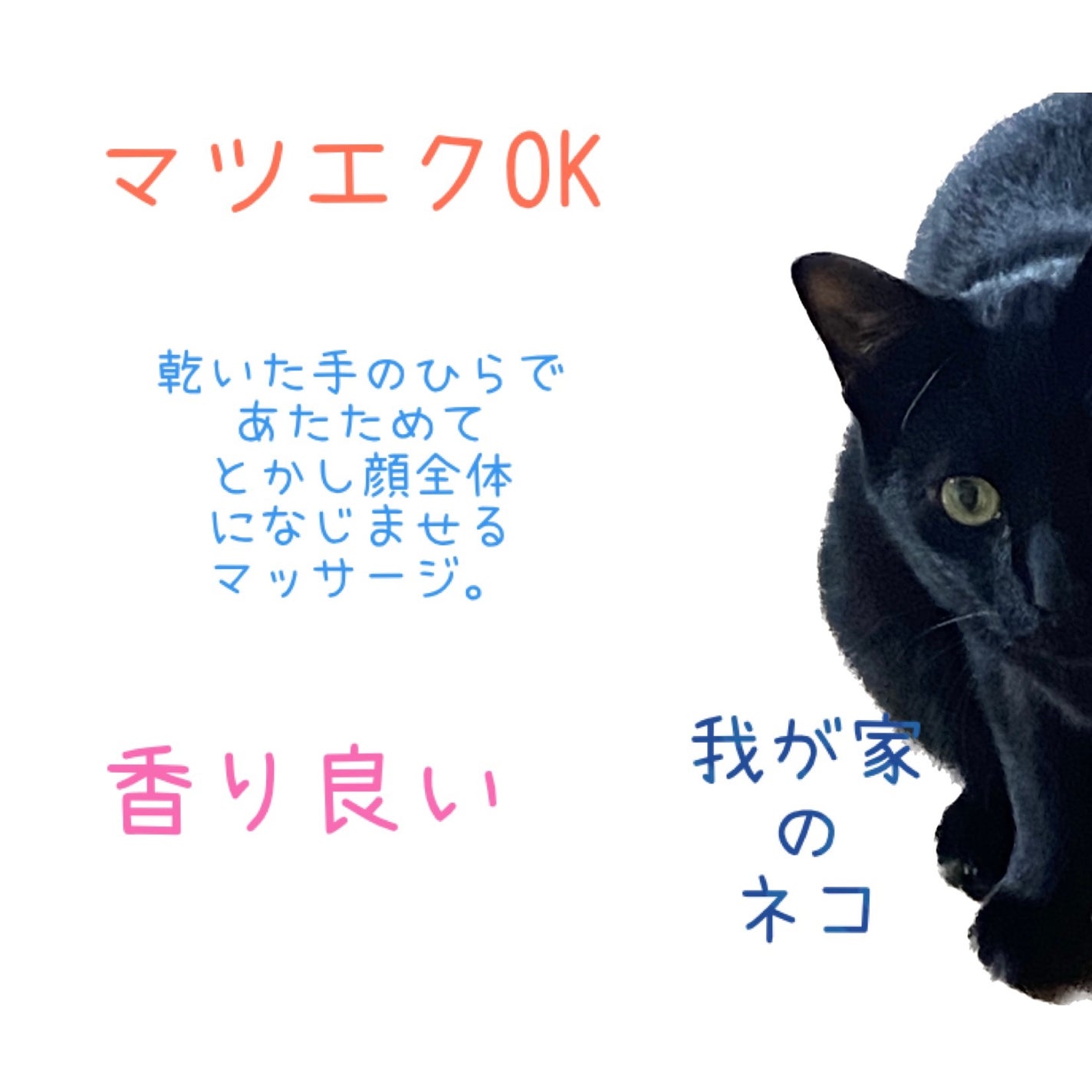 ã¯ã¬ã³ãžã³ã°ããŒã ãã©ãã¯/CLAYGE/ã¯ã¬ã³ãžã³ã°ããŒã ã䜿ã£ãã¯ãã³ãïŒ3æç®ïŒ