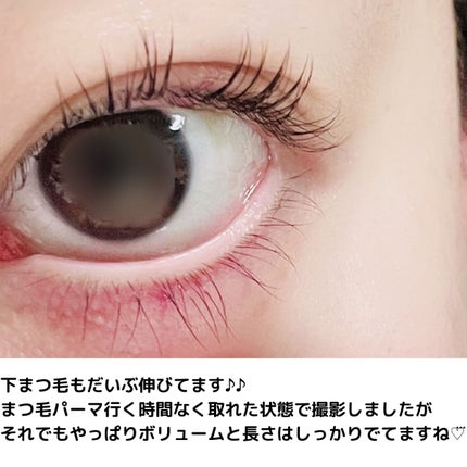 FEG Eyelash Enhancer/FEG/まつげ美容液を使ったクチコミ(5枚目)
