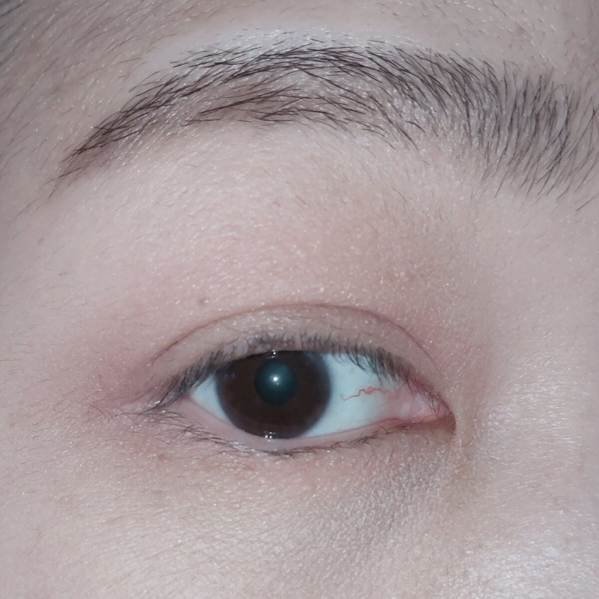 シルキースフレアイズ(マットタイプ)/キャンメイク/アイシャドウパレットを使ったクチコミ(4枚目)