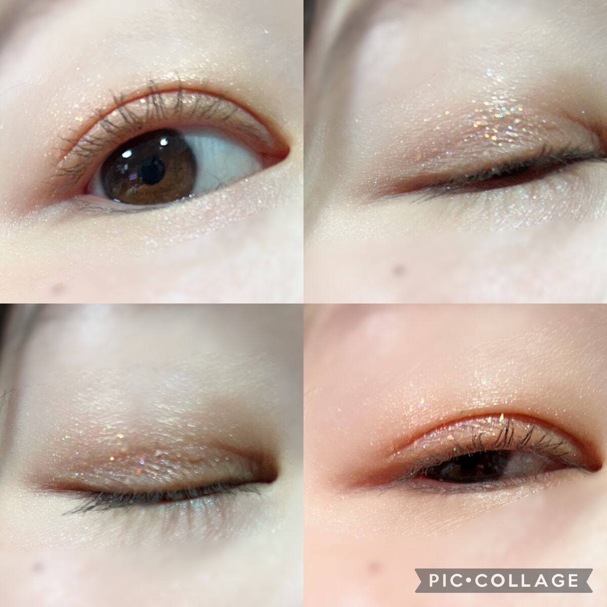 エクスプローラ12色 動物アイシャドウパレット/PERFECT DIARY/アイシャドウパレットを使ったクチコミ（1枚目）