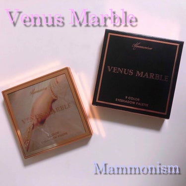 VenusMarble 9色アイシャドウパレット/Venus Marble/アイシャドウパレットを使ったクチコミ（1枚目）