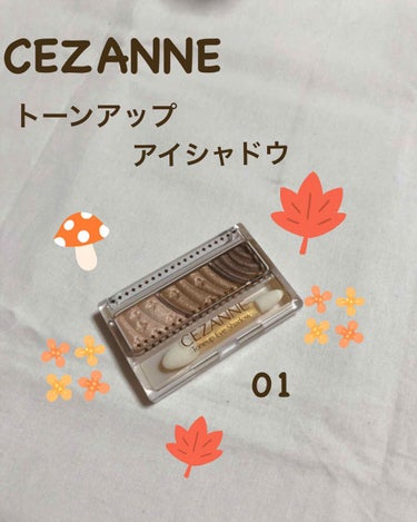 トーンアップアイシャドウ/CEZANNE/アイシャドウパレットを使ったクチコミ（1枚目）