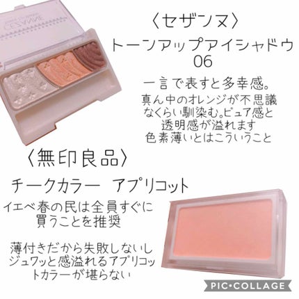 ナチュラル チークN/CEZANNE/パウダーチークを使ったクチコミ(2枚目)