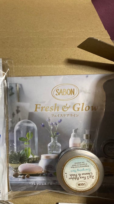 フェイスポリッシャー リフレッシング（ミント）/SABON/スクラブ・ゴマージュを使ったクチコミ（1枚目）