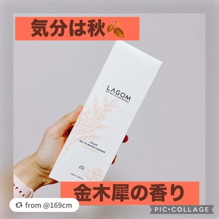 ラゴム ジェルトゥウォーター クレンザー(朝用洗顔)/LAGOM /その他洗顔料を使ったクチコミ(1枚目)