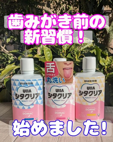 UHA味覚糖 シタクリア 液体はみがきのクチコミ「UHA味覚糖のオーラルケアシリーズ「UHAシタクリア」から商品提供をいただきました🎁

歯みが.....」（1枚目）