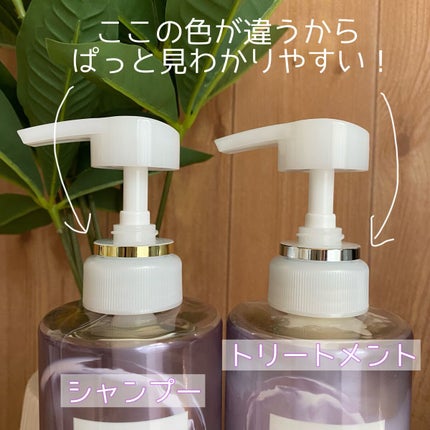 バスグロウ ストレート&シャイン シャンプー/トリートメント/LUX/市販シャンプーを使ったクチコミ(2枚目)