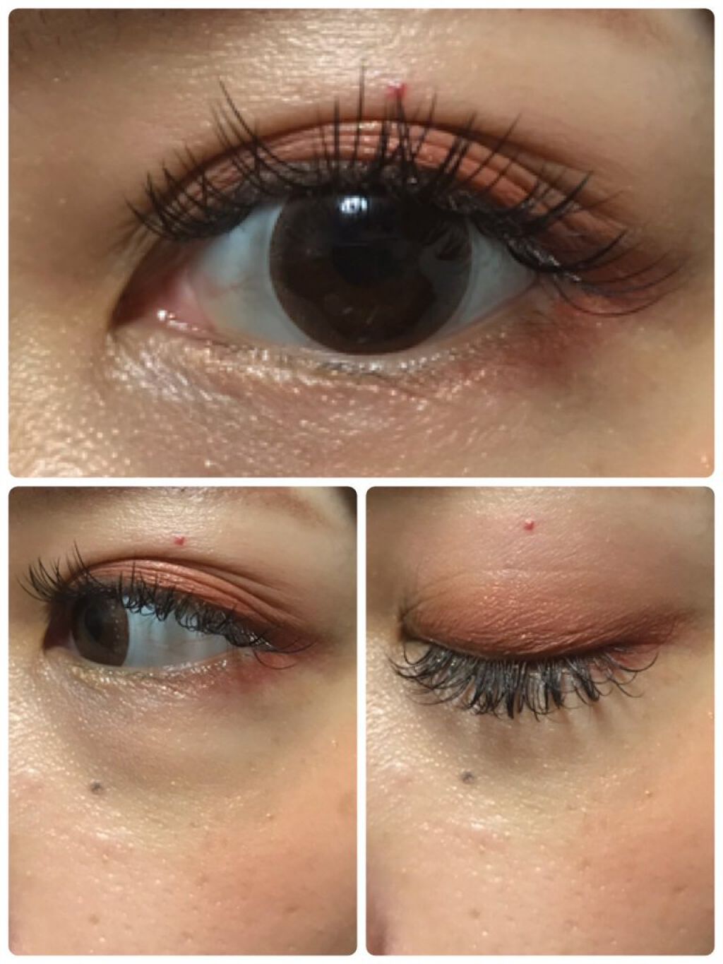 アニマルアイシャドウ(4シェード)/ZEESEA/アイシャドウパレットを使ったクチコミ(5枚目)