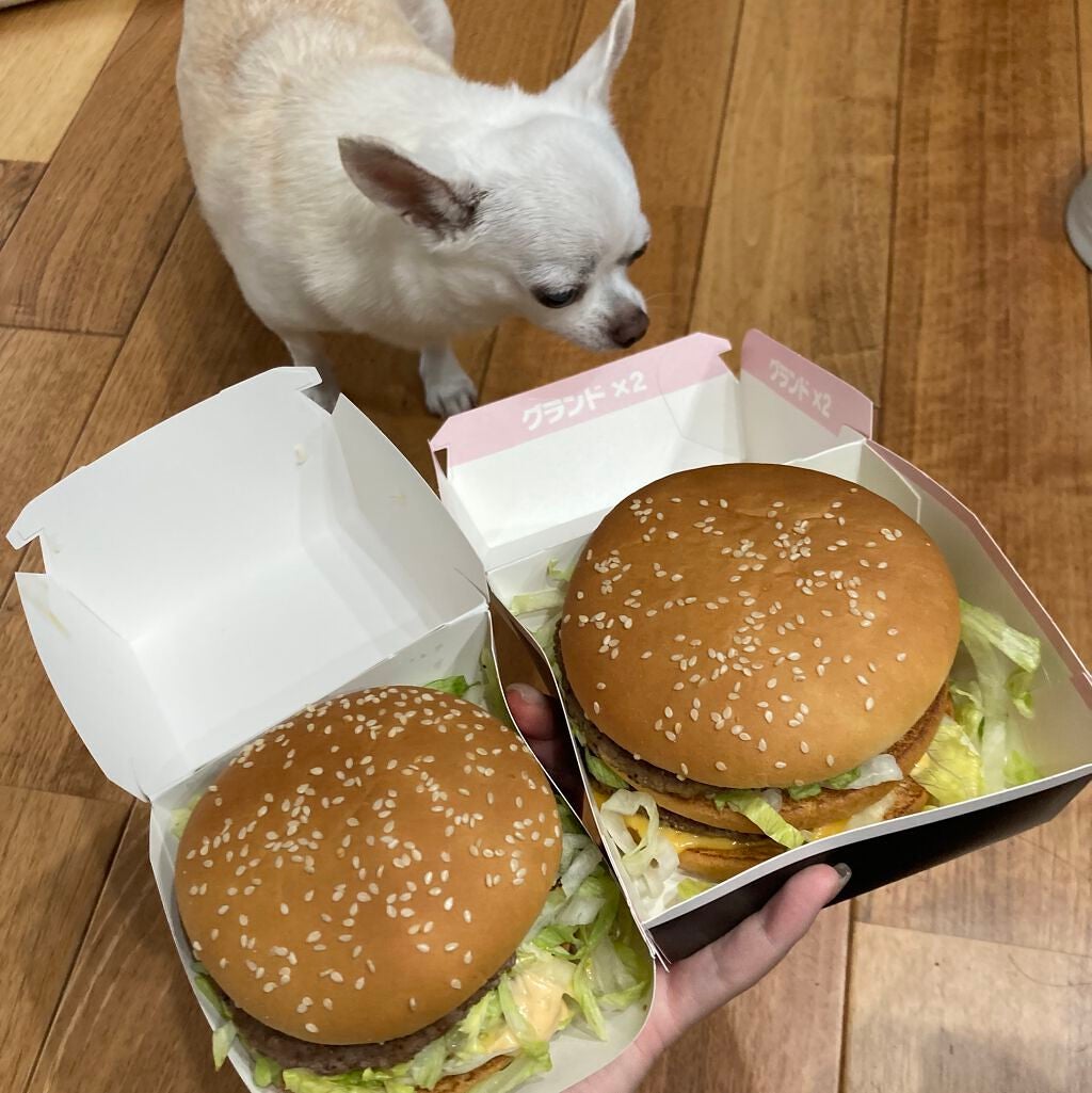 しに子ちゃん on LIPS 「ギガマックなんてペロリですわ〜〜〜!!!!!と思ったけど普通に..」(2枚目)