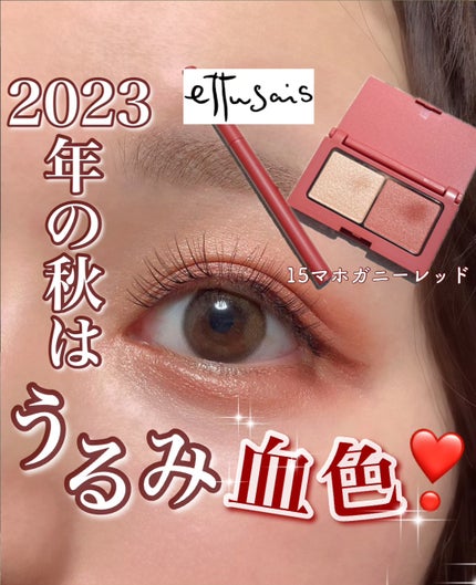 エテュセ アイエディション(カラーパレット)/ettusais/アイシャドウパレットを使ったクチコミ(1枚目)