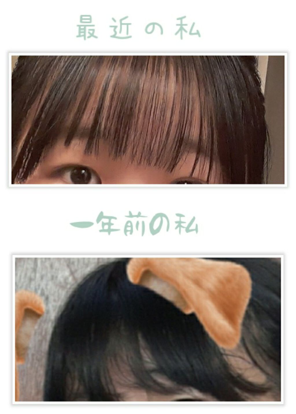 ノーセバム ミネラルパウダー/innisfree/ルースパウダーを使ったクチコミ(2枚目)