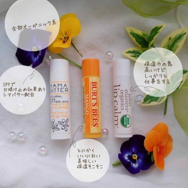 マンゴー モイスチャーライジングリップバーム	/BURT'S BEES/リップケア・リップクリームを使ったクチコミ（3枚目）