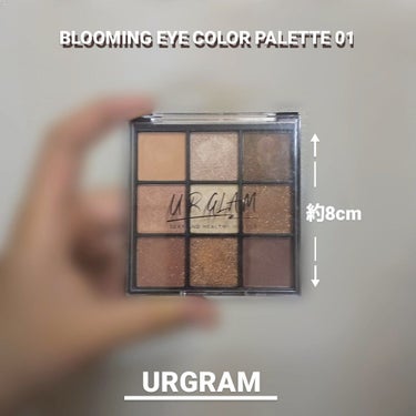 UR GLAM　BLOOMING EYE COLOR PALETTE/U R GLAM/アイシャドウパレットを使ったクチコミ（1枚目）