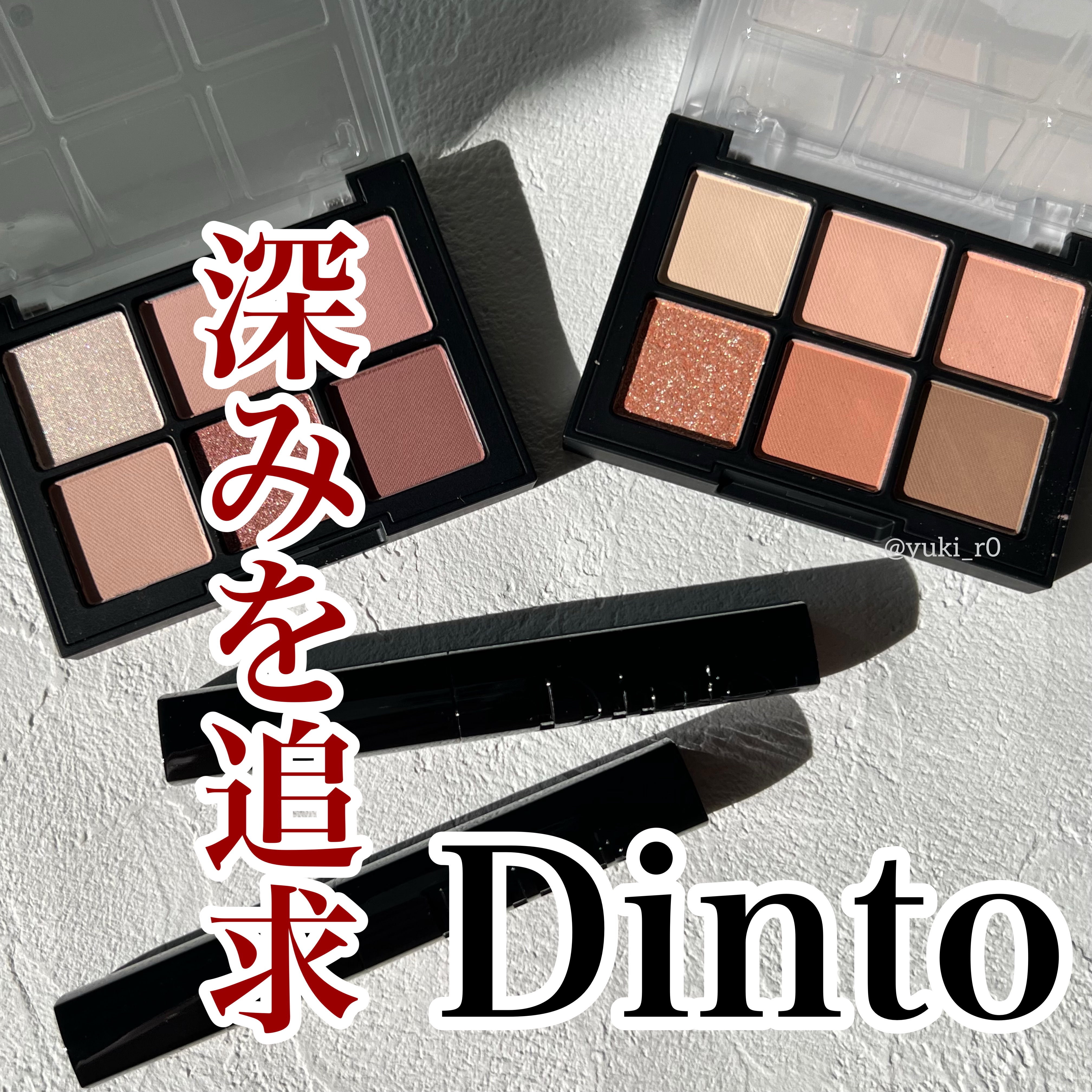 ブラーフィニシュシャドウパレット/Dinto/アイシャドウパレットを使ったクチコミ（1枚目）