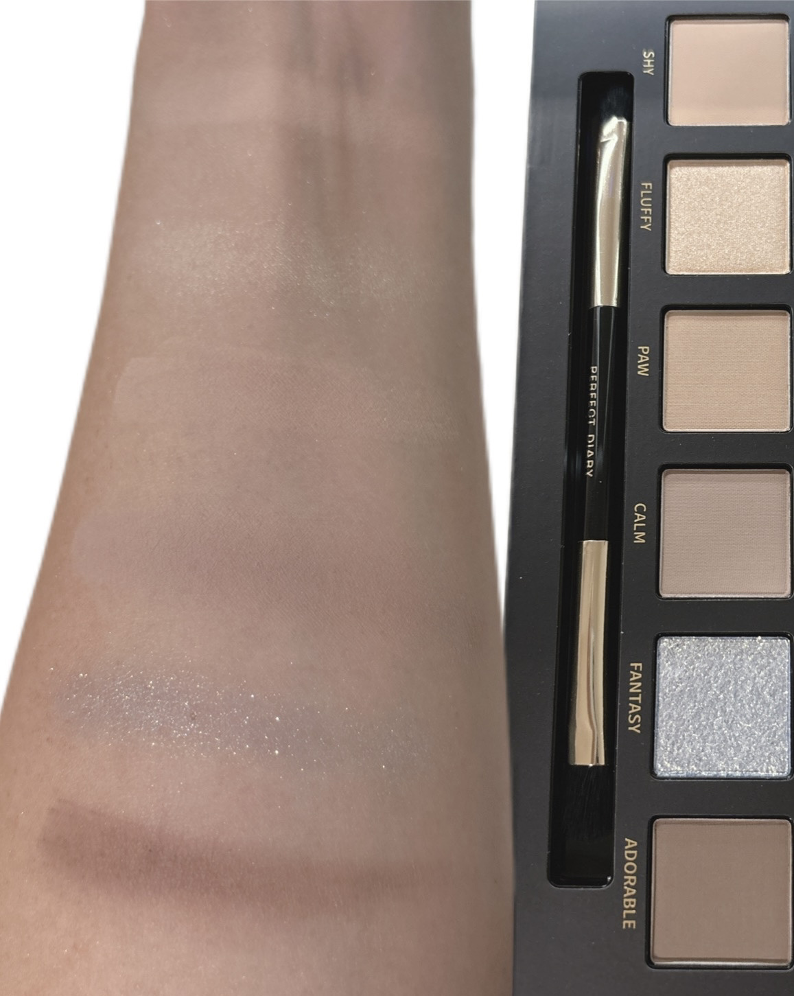 エクスプローラ12色 動物アイシャドウパレット パンダ/PERFECT DIARY/アイシャドウパレットを使ったクチコミ（3枚目）