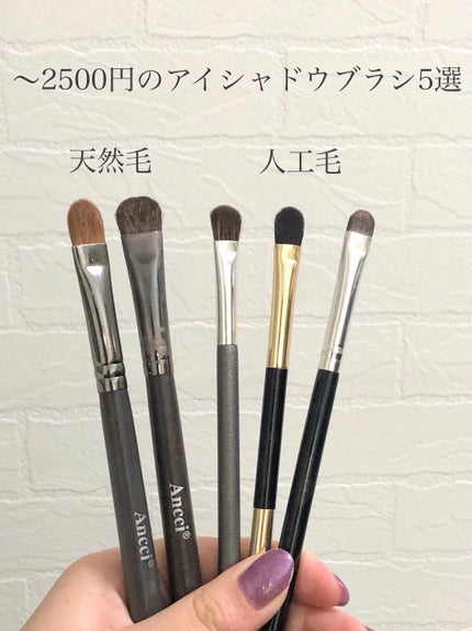 Ebony 24/Ancci brush/メイクブラシを使ったクチコミ(1枚目)