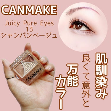 【気持ち的にはリピしたい】


でも、既に廃盤カラー😅


CANMAKE
Juicy Pure Eyes
13 シャンパンベージュ
¥660(税込)


✼••┈┈••✼••┈┈••✼••┈┈••✼•