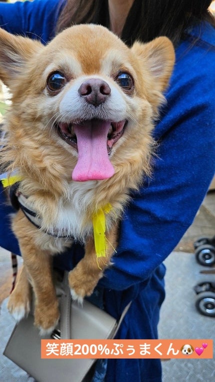 ル・ヌフ・ジバンシイ/GIVENCHY/アイシャドウパレットを使ったクチコミ(8枚目)