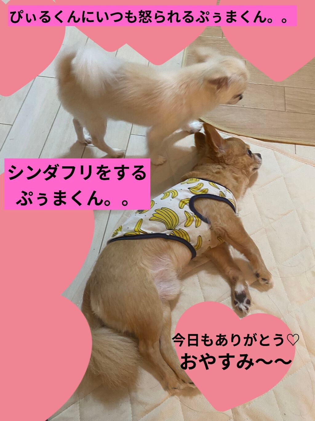 しゅわしゃわばすぼ ケアベアバスボール/DAISO/その他を使ったクチコミ(7枚目)