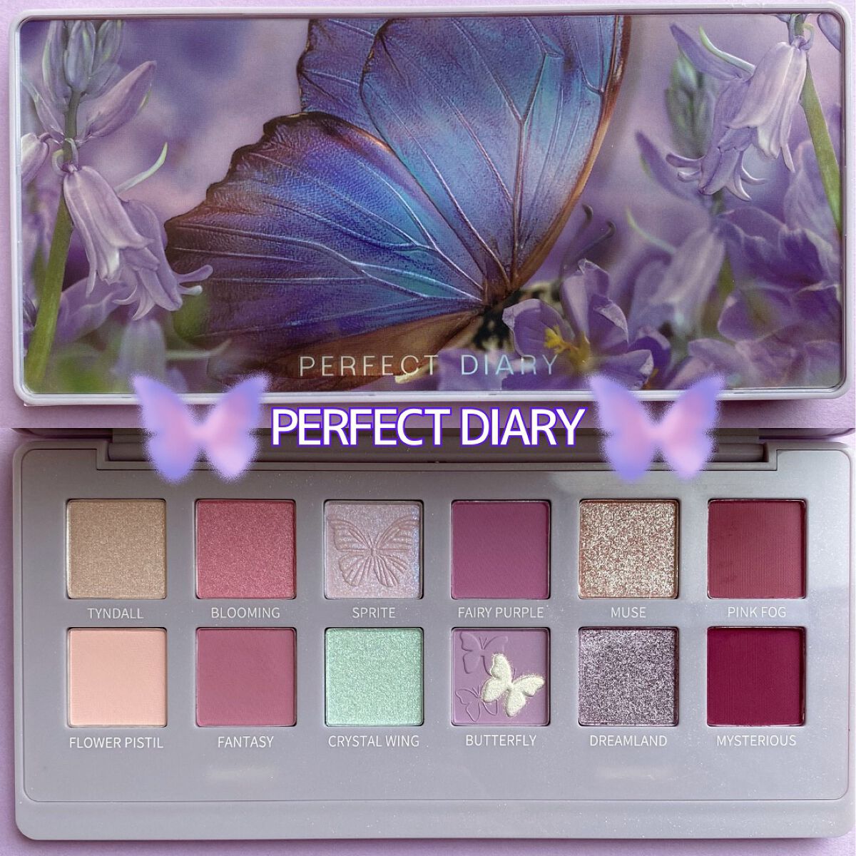 エクスプローラ12色 動物アイシャドウパレット/PERFECT DIARY/アイシャドウパレットを使ったクチコミ(2枚目)