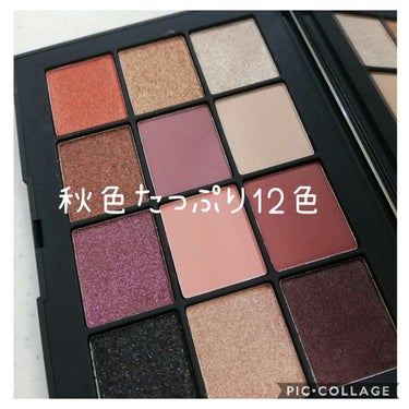 エクストリームエフェクト アイシャドーパレット/NARS/アイシャドウパレットを使ったクチコミ（2枚目）