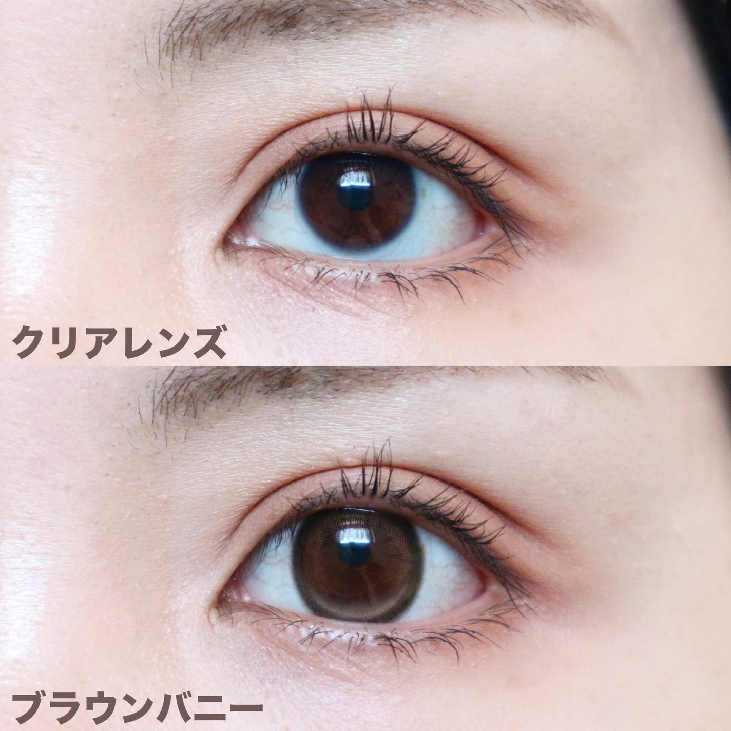 MOLAK 1day/MOLAK/ワンデー(1DAY)カラコンを使ったクチコミ(4枚目)